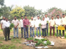 पर्यावरण संरक्षण के लिए फूलों की पौध वितरण की शुरुआत Karnal News