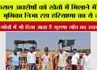 फसल अवशेषों को खेतो में मिलाने में अहम भूमिका निभा रहा हरियाणा का ये गांव Kaithal