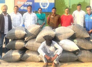 296 किलो 255 ग्राम डोडापोस्त सहित एक आरोपी काबू Kaithal News