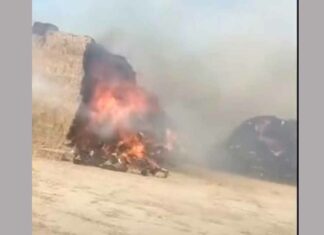 पोलड़ और कांगथली के बीच लाखो की पराली जली Kaithal News