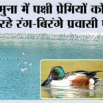 Kalesar National Park