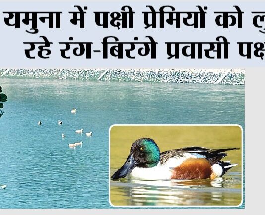 Kalesar National Park