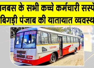 Punjab Bus Strike