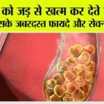 Papaya Seed Benefits For Stone: पथरी को जड़ से खत्म कर देते हैं ये बीज, जानें इसके जबरदस्त फायदे और सेवन का तरीका Papaya Seed Benefits For Stone
