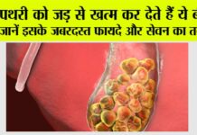 Papaya Seed Benefits For Stone: पथरी को जड़ से खत्म कर देते हैं ये बीज, जानें इसके जबरदस्त फायदे और सेवन का तरीका Papaya Seed Benefits For Stone