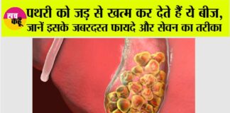 Papaya Seed Benefits For Stone