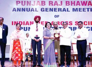 सरकारी महिंद्रा कॉलेज को युवा रेडक्रॉस फंड में तीसरे स्थान का पुरस्कार Patiala News