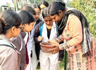 190 स्थानों पर मिला डेंगू का लारवा Patiala News