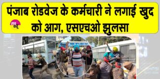 Punjab Roadways News