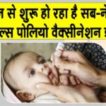 1242 बूथों पर नौनिहाल गटकेंगे दो बूंद जिंदगी की Hanumangarh News