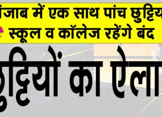 Holidays: पंजाब में पांच दिनों तक बंद रहेंगे स्कूल-कॉलेज, शिक्षा मंत्री ने किया ऐलान Holidays