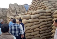 कैथल में 10 राइस मिलों की हुई फिजिकल वेरिफिकेशन, आगे भी जारी रहेगी जांच Kaithal News