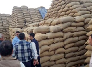 कैथल में 10 राइस मिलों की हुई फिजिकल वेरिफिकेशन, आगे भी जारी रहेगी जांच Kaithal News