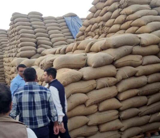 कैथल में 10 राइस मिलों की हुई फिजिकल वेरिफिकेशन, आगे भी जारी रहेगी जांच Kaithal News