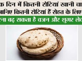Roti: एक दिन में कितनी रोटियां खानी चाहिए? जानिए कितनी रोटियां हैं सेहत के लिए सही, वरना बढ़ सकता है वजन और शुगर लेवल Roti
