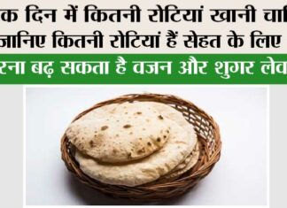 Roti: एक दिन में कितनी रोटियां खानी चाहिए? जानिए कितनी रोटियां हैं सेहत के लिए सही, वरना बढ़ सकता है वजन और शुगर लेवल Roti