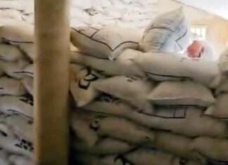 चक 27 एसटीजी स्थित गोदाम से गेहूं के बीज भरे पांच सौ थैले चोरी Hanumangarh News