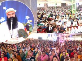 MSG Bhandara: शाह सतनाम-शाह मस्ताना जी धाम सरसा में साध-संगत ने इस तरह मनाया पावन अवतार दिवस MSG Bhandara