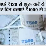 Small Business Ideas 2025: सिर्फ ₹120 से शुरू करें ये काम, हर दिन कमाएं ₹1000 से ज्यादा Small Business Ideas 2025