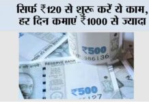 Small Business Ideas 2025: सिर्फ ₹120 से शुरू करें ये काम, हर दिन कमाएं ₹1000 से ज्यादा Small Business Ideas 2025