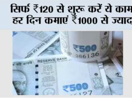 Small Business Ideas 2025: सिर्फ ₹120 से शुरू करें ये काम, हर दिन कमाएं ₹1000 से ज्यादा Small Business Ideas 2025