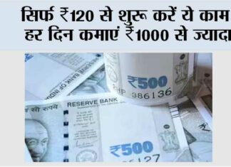 Small Business Ideas 2025: सिर्फ ₹120 से शुरू करें ये काम, हर दिन कमाएं ₹1000 से ज्यादा Small Business Ideas 2025