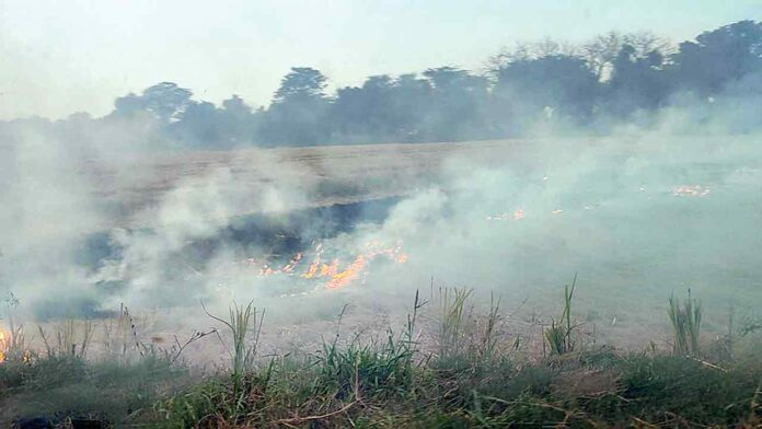 Sangrur News Sangrur News