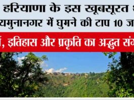 Top 10 Places to Visit in Yamunanagar