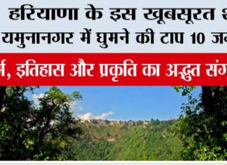हरियाणा के इस खूबसूरत शहर यमुनानगर में घुमने की टाप 10 जगह… Top 10 Places to Visit in Yamunanagar