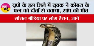 UP Snake News