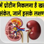 Proteinuria Symptoms: कहीं आपके यूरिन में भी प्रोटीन तो नहीं निकल रहा, जानें कितना है ये खतरनाक? Proteinuria Symptoms
