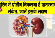 Proteinuria Symptoms: कहीं आपके यूरिन में भी प्रोटीन तो नहीं निकल रहा, जानें कितना है ये खतरनाक? Proteinuria Symptoms