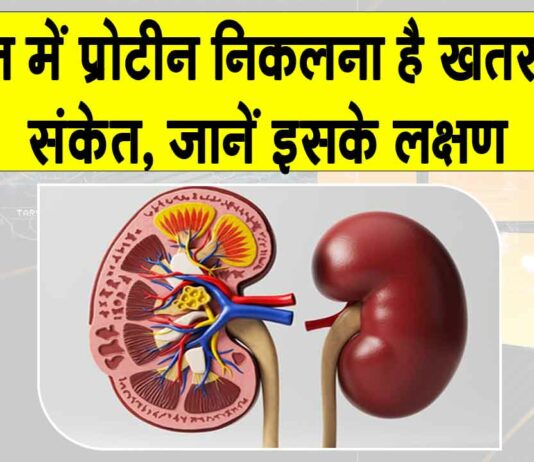 Proteinuria Symptoms: कहीं आपके यूरिन में भी प्रोटीन तो नहीं निकल रहा, जानें कितना है ये खतरनाक? Proteinuria Symptoms