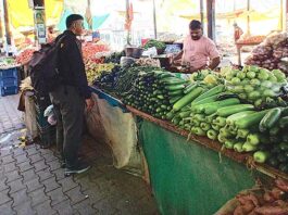 Vegetable Prices: आसमान छूने लगे सब्जियों के दाम, सब्जी मंडी में कम हुई रौनक Patiala News