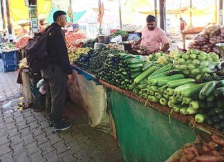 Vegetable Prices: आसमान छूने लगे सब्जियों के दाम, सब्जी मंडी में कम हुई रौनक Patiala News