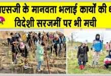 Tree Plantation: विदेशों में मच रही MSG के मानवता भलाई कार्यों की धूम