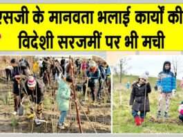 Tree Plantation: विदेशों में मच रही MSG के मानवता भलाई कार्यों की धूम