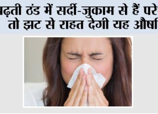 Winter Cold: बढ़ती ठंड में सर्दी-जुकाम से हैं परेशान तो झट से राहत देगी यह औषधि Winter Cold