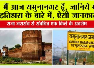 History Haryana: मैं आज यमुनानगर हूँ, जानिये मेरे इतिहास के बारे में, ऐसी जानकारी जो आपके हमेशा आएगी काम history Haryana