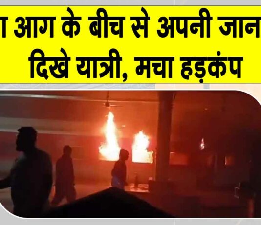 AP Train Accident: आंध्र प्रदेश में ट्रेन लगी भीषण आग, जान बचाने के लिए इधर-उधर भागते दिखे लोग Andhra Pradesh News