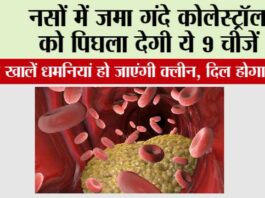 Bad Cholesterol: नसों में जमा गंदे कोलेस्ट्रॉल को पिघला देगी ये 9 चीजें, रोजाना खालें धमनियां हो जाएंगी क्लीन, दिल होगा जवान Bad Cholesterol