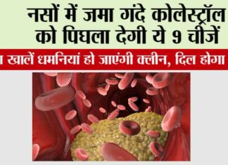 Bad Cholesterol: नसों में जमा गंदे कोलेस्ट्रॉल को पिघला देगी ये 9 चीजें, रोजाना खालें धमनियां हो जाएंगी क्लीन, दिल होगा जवान Bad Cholesterol
