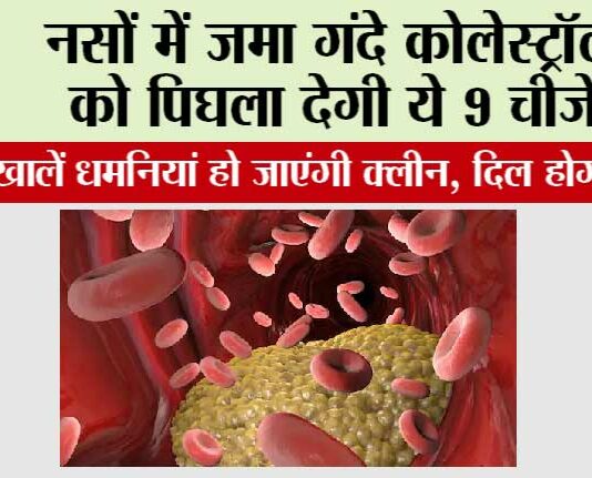 Bad Cholesterol: नसों में जमा गंदे कोलेस्ट्रॉल को पिघला देगी ये 9 चीजें, रोजाना खालें धमनियां हो जाएंगी क्लीन, दिल होगा जवान Bad Cholesterol
