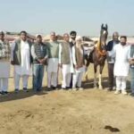 Bhatner Horse Fair Begins: भटनेर अश्व मेला शुरू, आकर्षण का केन्द्र रहेंगे मारवाड़ी-नुकरा नस्ल के अश्व Hanumangarh News