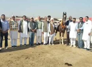 Bhatner Horse Fair Begins: भटनेर अश्व मेला शुरू, आकर्षण का केन्द्र रहेंगे मारवाड़ी-नुकरा नस्ल के अश्व Hanumangarh News