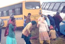 Roadways Bus Accident: दादरी में रोडवेज व आर्यन स्कूल बस की टक्कर में छात्रा की मौत, 18 छात्रायें घायल Charkhi Dadri News