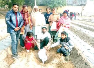 Dabwali: सचखंडवासी डबवाली के अश्वनी इन्सां की अस्थियों पर परिजनों ने लगाया पौधा Sirsa News