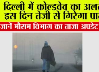 Delhi Cold News
