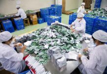 US Senator Warns: भारत-चीन को लेकर अमेरिकी सीनेटर की चेतावनी, जानें वजह? US News