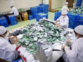 US Senator Warns: भारत-चीन को लेकर अमेरिकी सीनेटर की चेतावनी, जानें वजह? US News